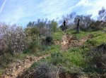 IMG_0223_1.jpg