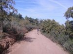 DSC00697 (Custom).JPG