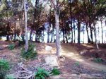DSCF3347_0001.jpg