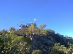 280220111287.jpg