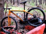 niner1000b.jpg