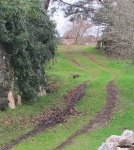 IMG_0172.JPG