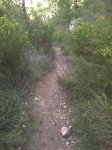 Imagen0104_653x870.jpg