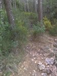 Imagen0101_653x870.jpg