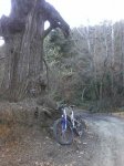 Apujarra01.jpg