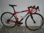 bici4.jpg