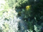 Imagen0003_1024x768.jpg
