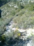 Imagen0032_768x1024.jpg