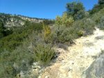 Imagen0028_1024x768.jpg