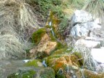 Imagen0044_1024x768.jpg