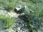 Imagen0021_1024x768.jpg