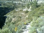 Imagen0026_1024x768.jpg