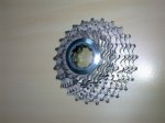 Imagen0164.jpg