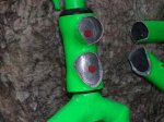 48990125-L.jpg