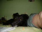 PICT0205.jpg