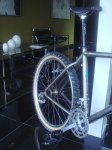 DSC07985.jpg