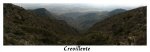 crev12 pan1.jpg