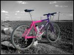 Klein Rascal 01r.jpg