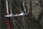 Pinarello Banesto 008r.jpg