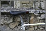 Pinarello Banesto 009r.jpg