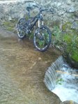 DSC01778.JPG