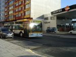 IMGP5573.JPG