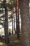 DSC01697_1000px.jpg