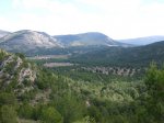 Photo14.JPG