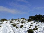 DSC03748.JPG