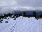 DSC03767.JPG