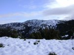 DSC03766.JPG