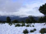 DSC03764.JPG