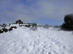 DSC03781.JPG