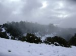 DSC03777.JPG