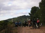 P1013418.JPG