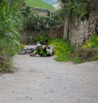Ruta Las Goteras5.jpg