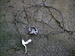 IMAG0189.JPG