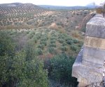 P0000096_redimensionar.JPG