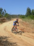 AROMOS 141.jpg