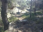 06032011188.JPG
