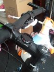 2011-03-06 12.23.43.jpg