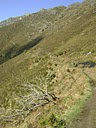 DSC05139.JPG