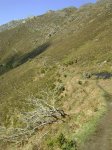 DSC05139.JPG