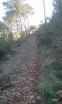 2011-03-06 09.51.38.jpg