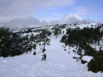 DSC03809.JPG