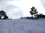 DSC03808.JPG