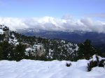 DSC03805.JPG