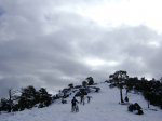 DSC03804.JPG