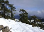 DSC03814.JPG