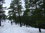DSC03821.JPG